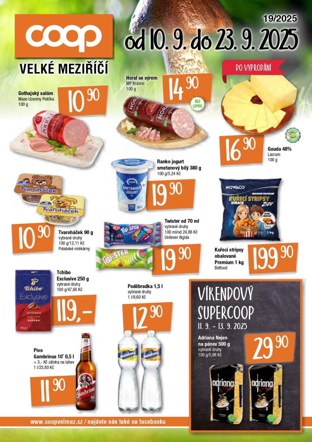 VM-c-19-nahled-page-0001(1)